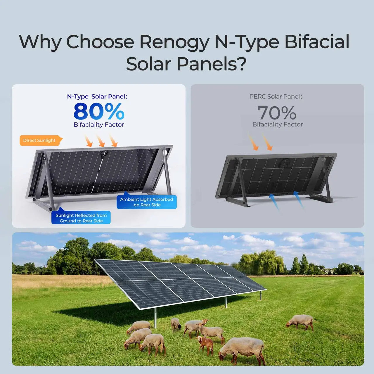 2360W Bifacial Solar Panel | 4x 590W N-Type Panels w/Tilt Mounts